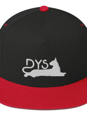 Gorra de visera plana BlackRed