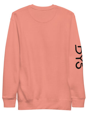 Sudadera DustyRose logo N